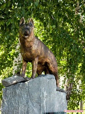 Памятник собаке по кличке Джек в Новосибирске